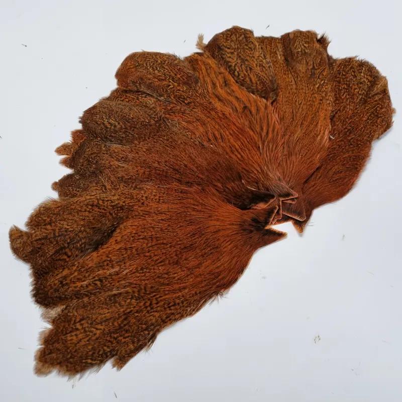 Whiting Coq de Leon Hen Cape in Speckled Burnt Orange-4